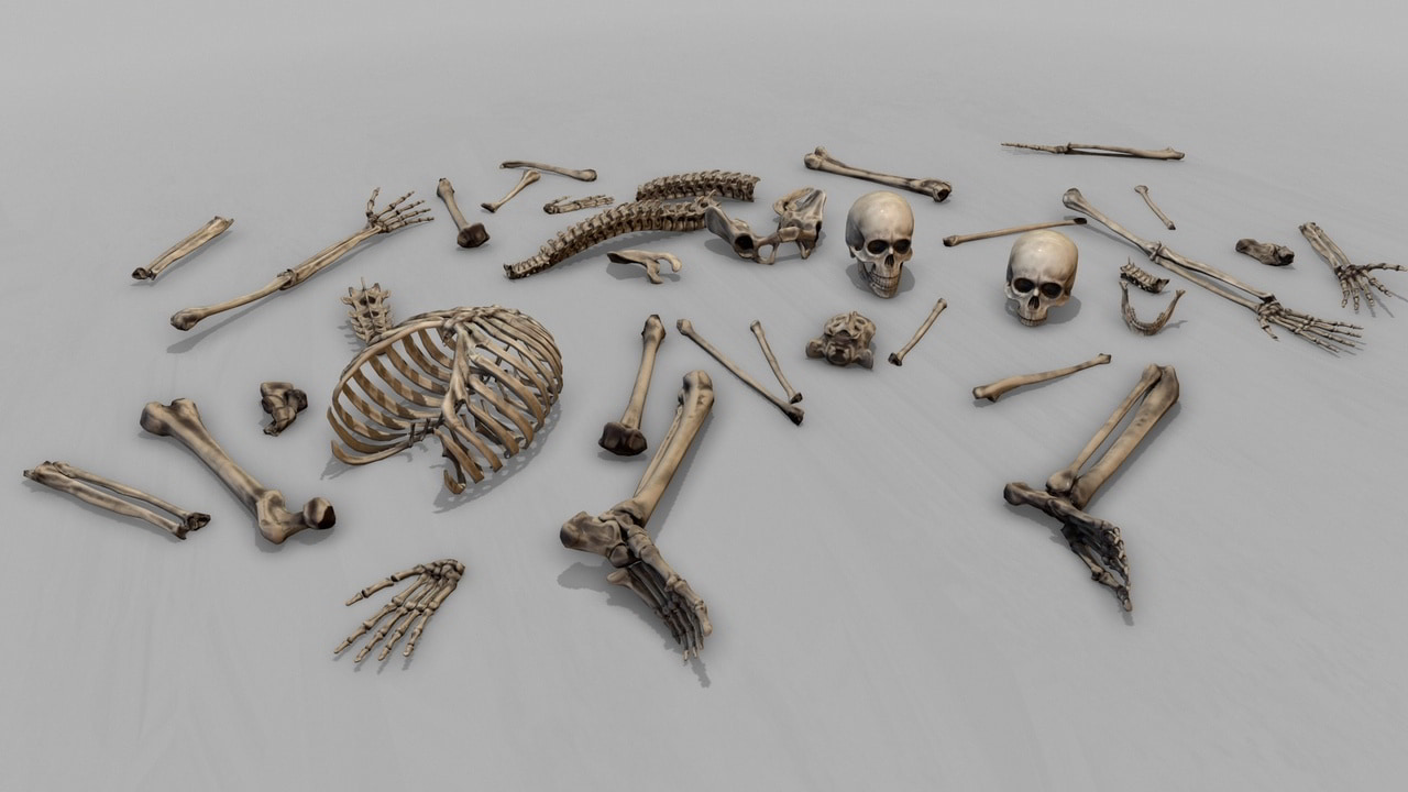 模块化人体骨骼系统 – Modular Human Skeleton