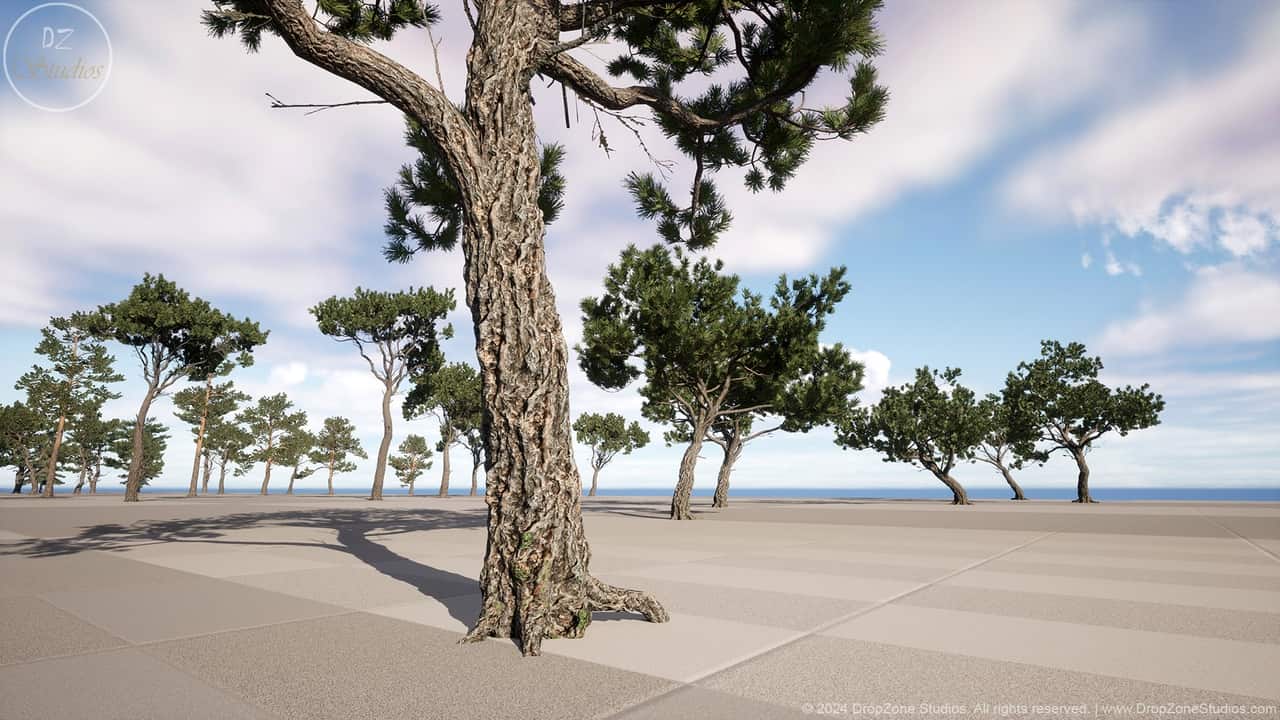 DZ树木 – 针叶树集合 – DZ Trees – Conifers (Pines, Cypresses and Firs)