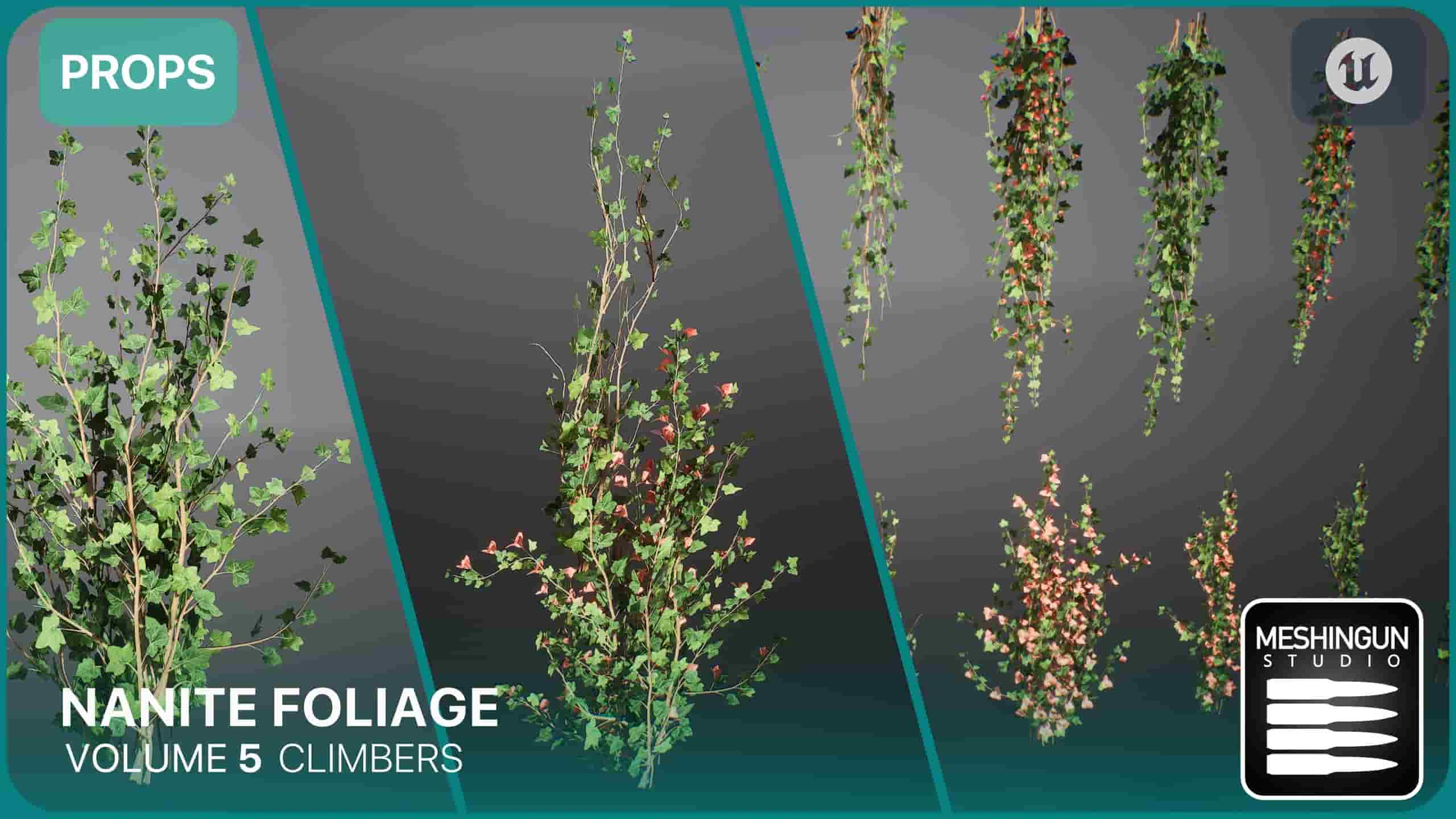 Nanite植被第五卷攀援植物资源 – Nanite Foliage Vol5 Climbers