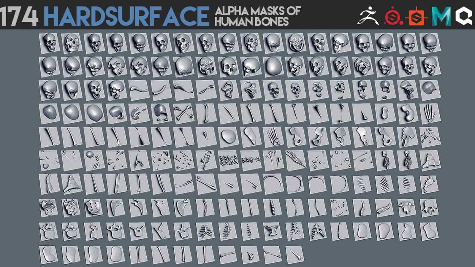 174款硬表面人类骨骼阿尔法蒙版 – 174 Hardsurface alpha masks of human bones