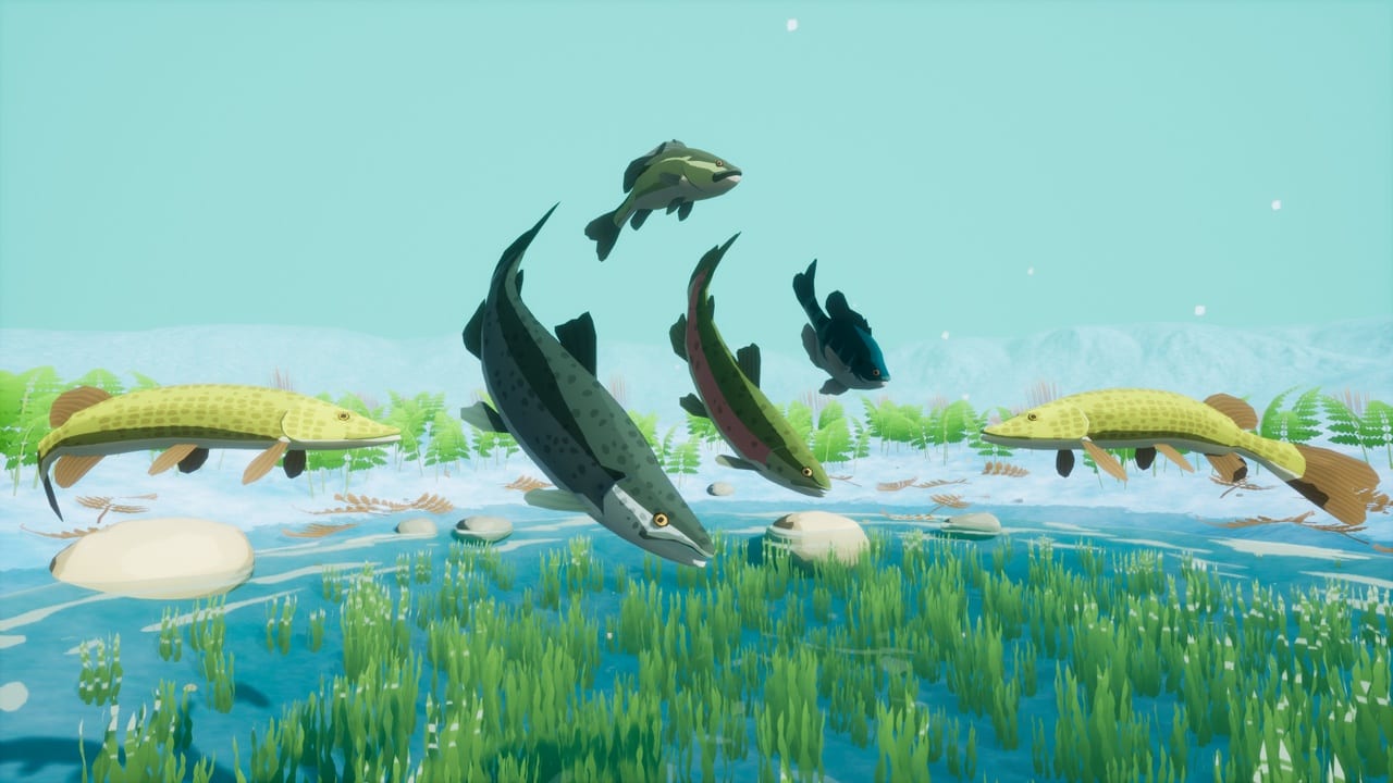 强力鲈鱼 (Niagara鱼群系统) – Beefy Bass (Niagara Fish System)