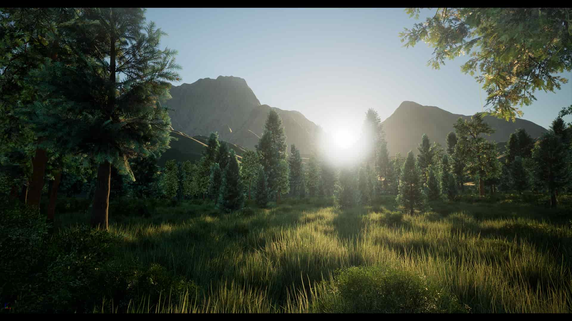 写实秋季森林场景 2×2 – Realistic Autumn Forest Location 2×2