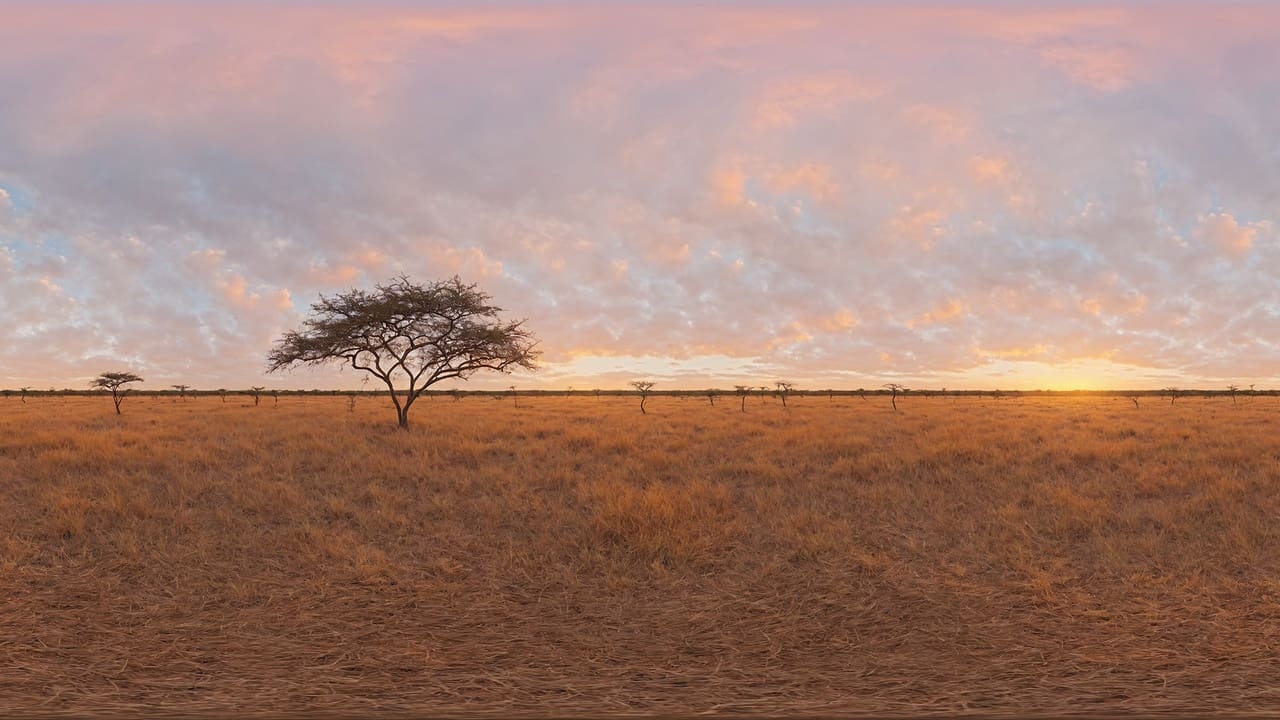 HDRI稀树草原全景图资源包 – HDRI Savanna Panoramas