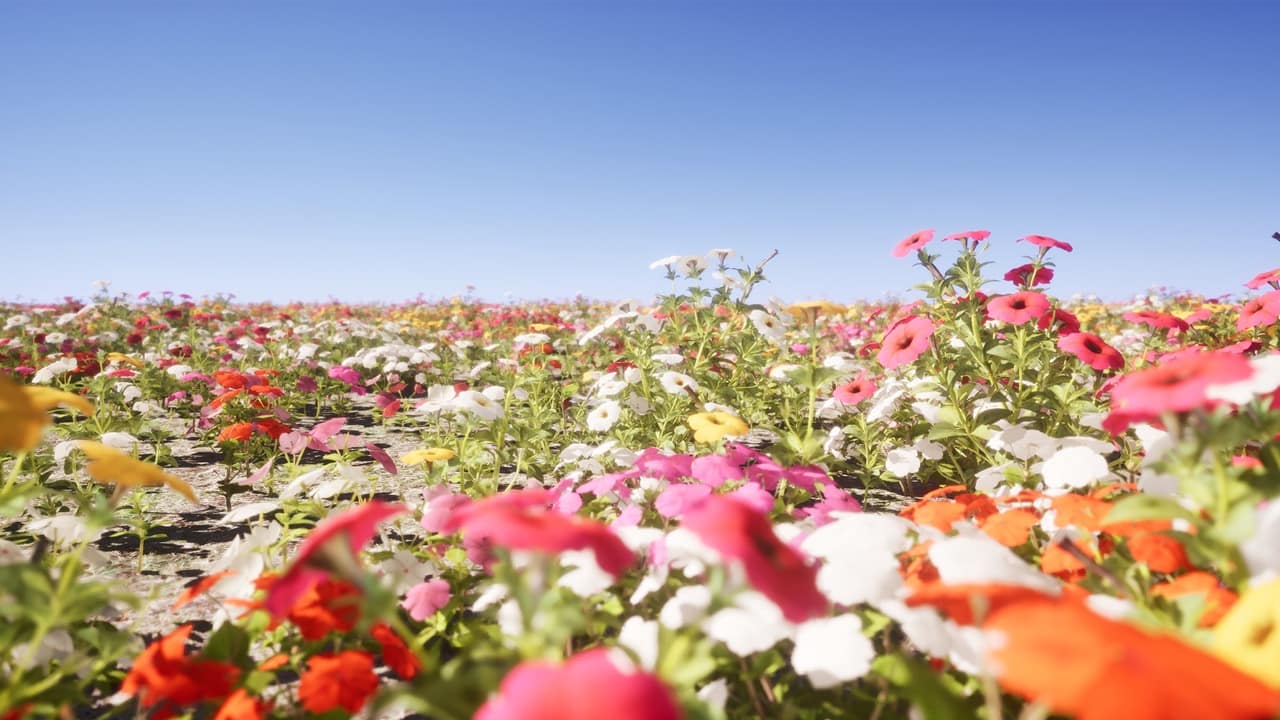 Nanite花卉包 – Nanite Flower Pack