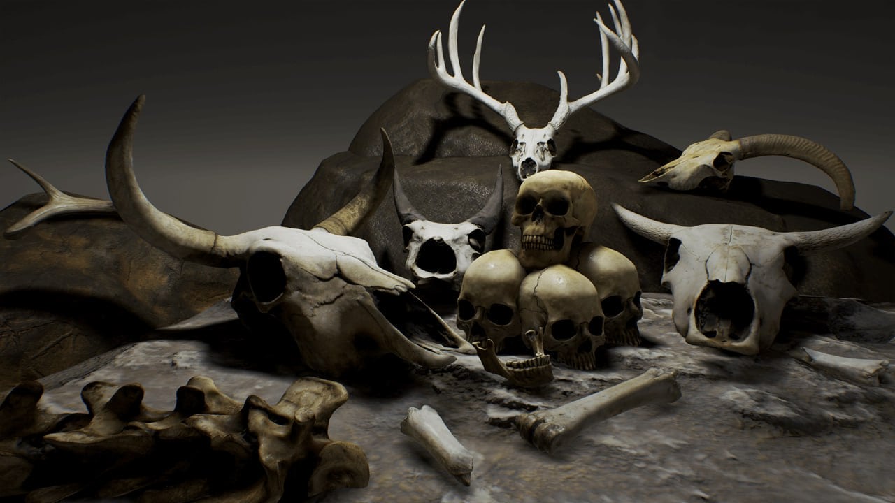 头骨与骸骨模型集 – Skulls And Bones