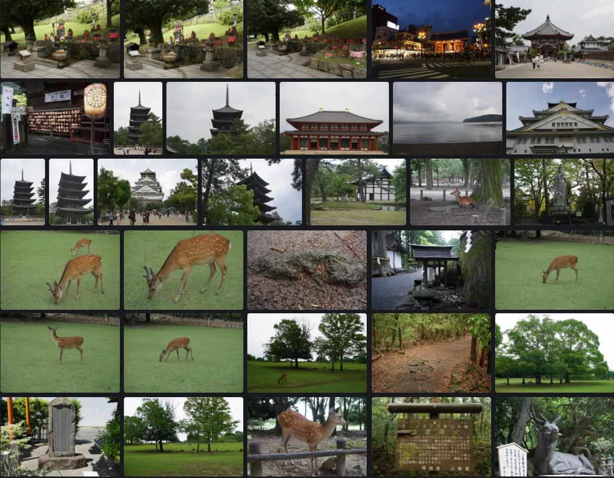 奈良公园与寺庙 – Nara Park and Temples