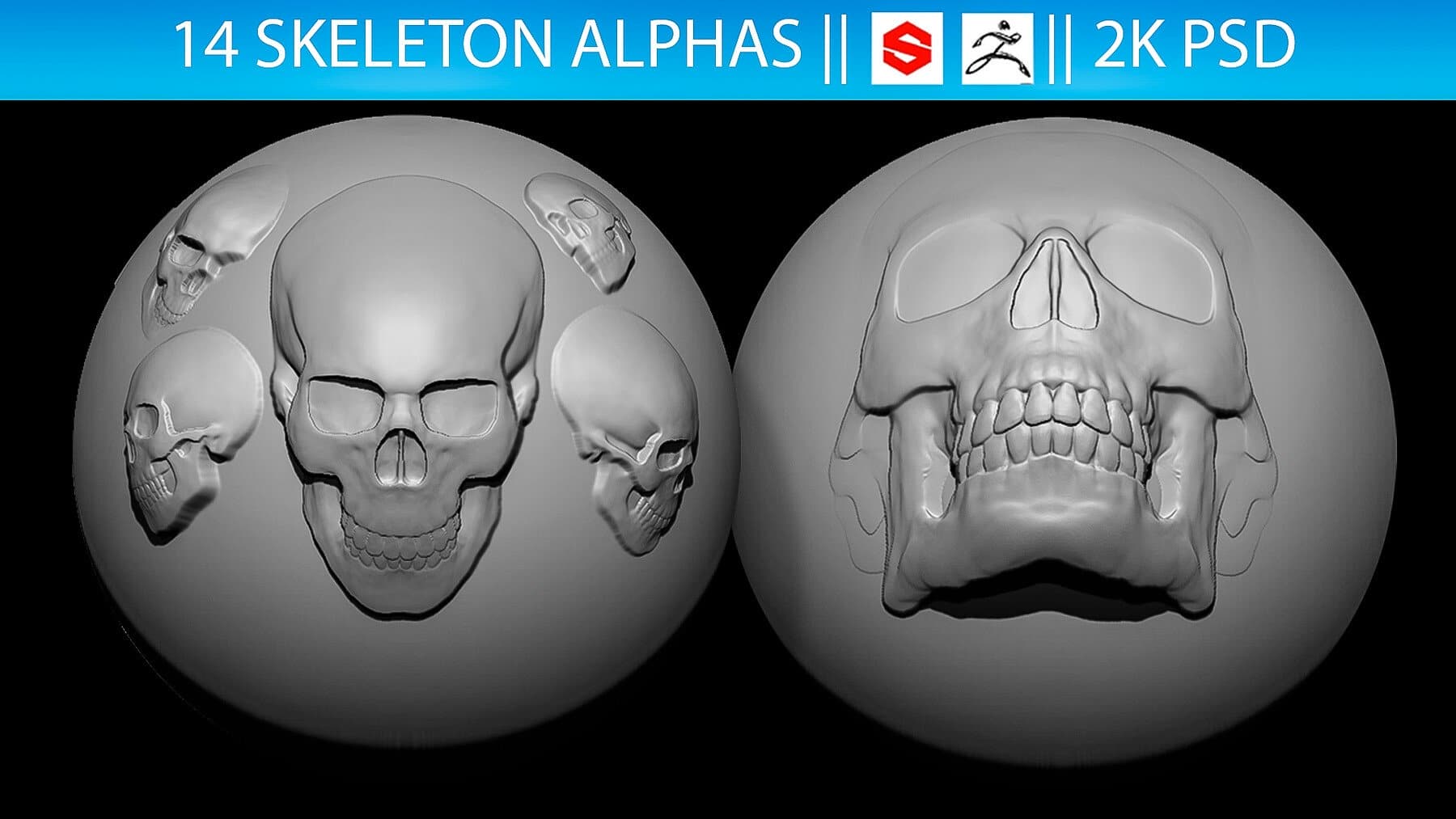 14款骷髅Alphas第二卷 – 14 Skeleton Alphas Vol.2 (ZBrush, Substance, 2K)