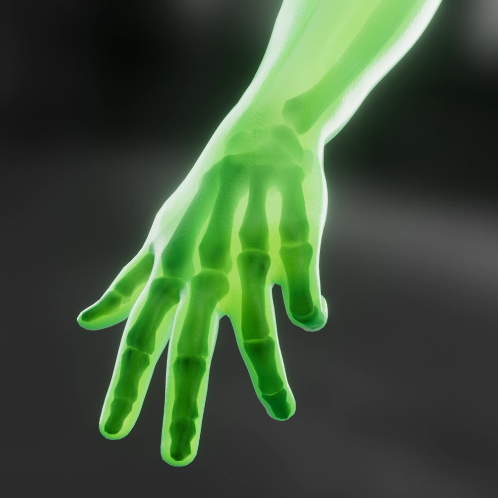 手臂骨骼X射线效果（演示版）- Arm Skeleton X-Ray (Demo) (Blender 5.1+)