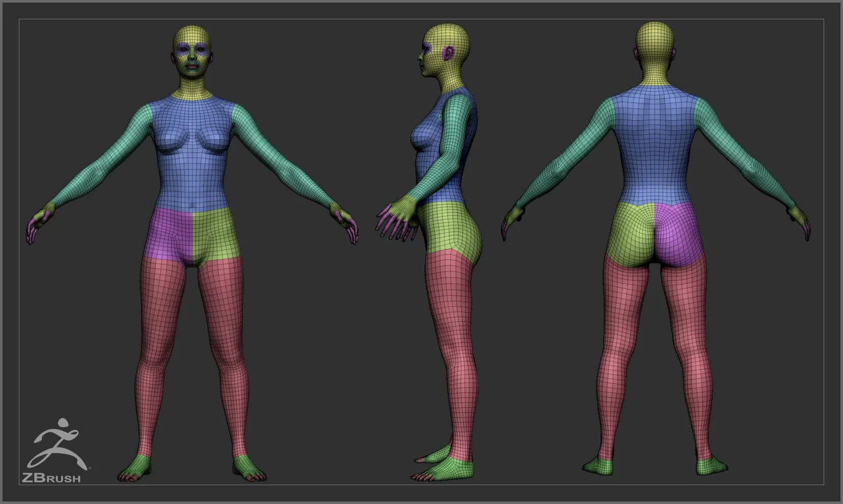 普通体型低多边形基础网格套装 – Average Body Lowpoly Basemesh Set