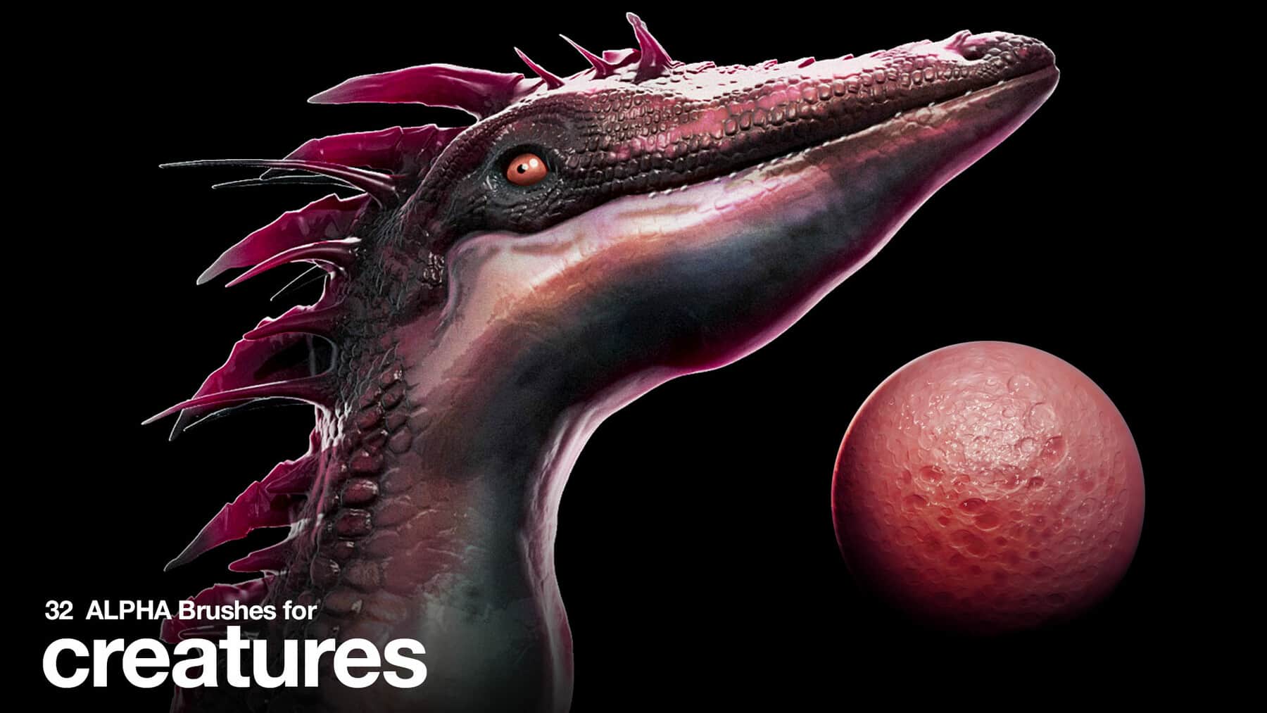 32款生物Alpha笔刷 – 32 Alpha Brushes for Creatures