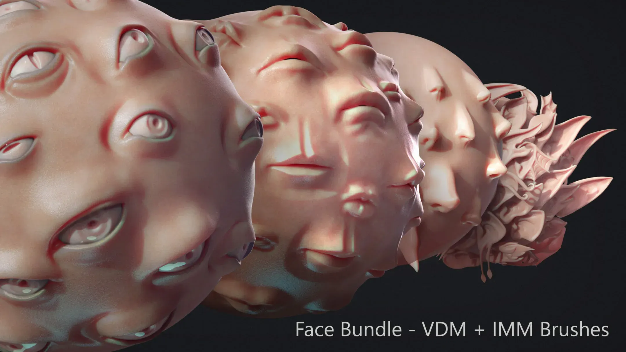 ZBrush – 面部IMM + VDM合集包 – ZBrush – Face IMM + VDM Bundle