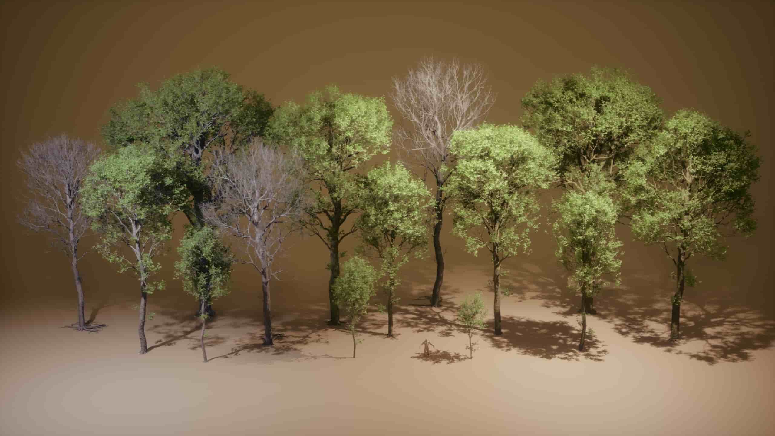 植被 VOL.45 – 山毛榉树（Nanite – 无透明度）- Foliage VOL.45 – Beech Trees (Nanite – NO TRANSPARENCY)