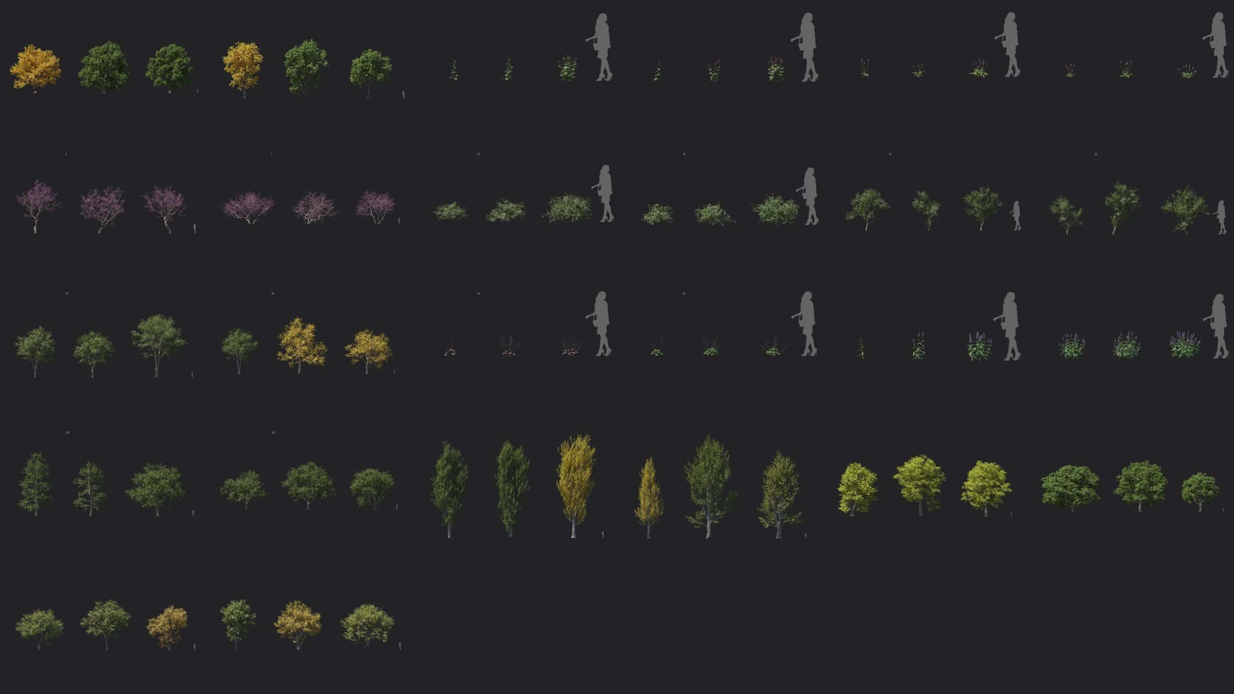 Maxtree – 植物模型 Vol 106 – Maxtree – Plant Models Vol 106