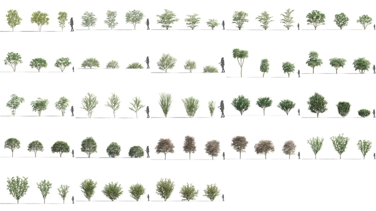 Maxtree – 植物模型 Vol 59 – Maxtree – Plant Models Vol 59