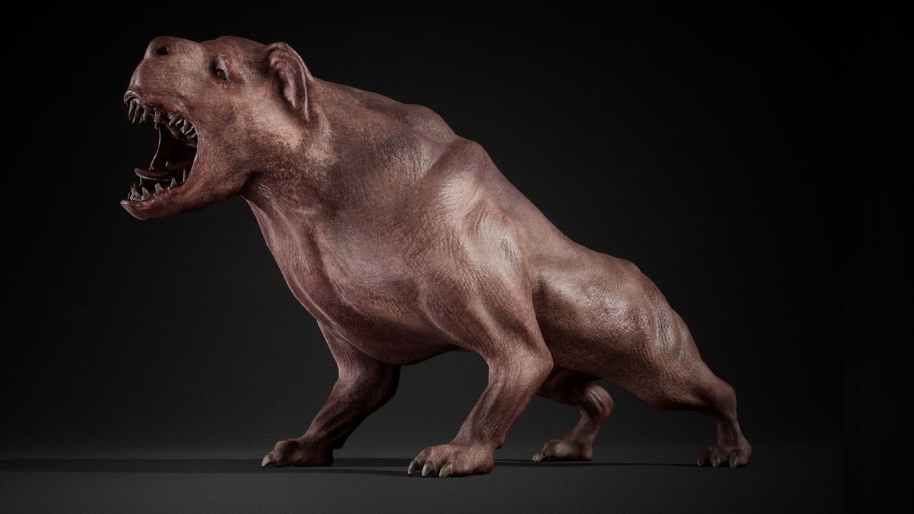 怪物狗 – Monster Dog