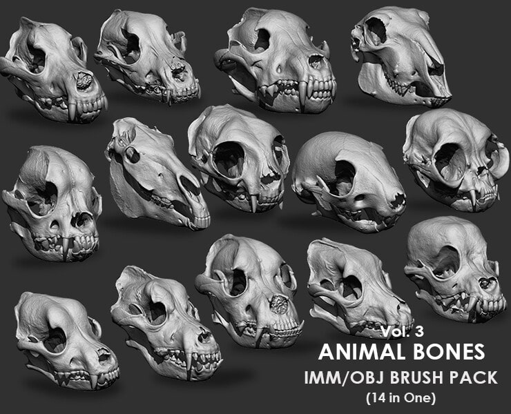 14合1动物骨骼合集雕刻笔刷包 Vol.3 – Animal Bones Collection IMM/Stl/Obj Brush Pack 14 in One Vol.3