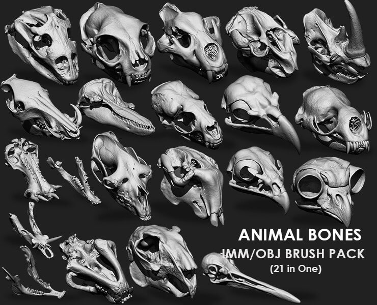 21合1动物骨骼合集雕刻笔刷包 Vol.1 – Animal Bones Collection IMM/Stl/Obj Brush Pack 21 in One Vol.1