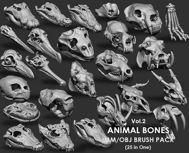 25合1动物骨骼合集雕刻笔刷包 Vol.2 – Animal Bones Collection IMM/Stl/Obj Brush Pack 25 in One Vol.2