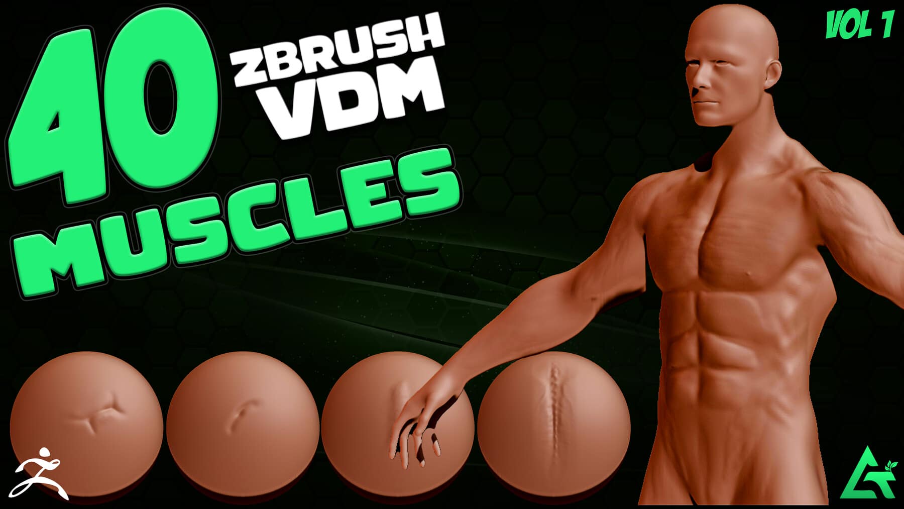 40 种真实肌肉 VDM 笔刷 – 40 Real Muscles VDM Brush