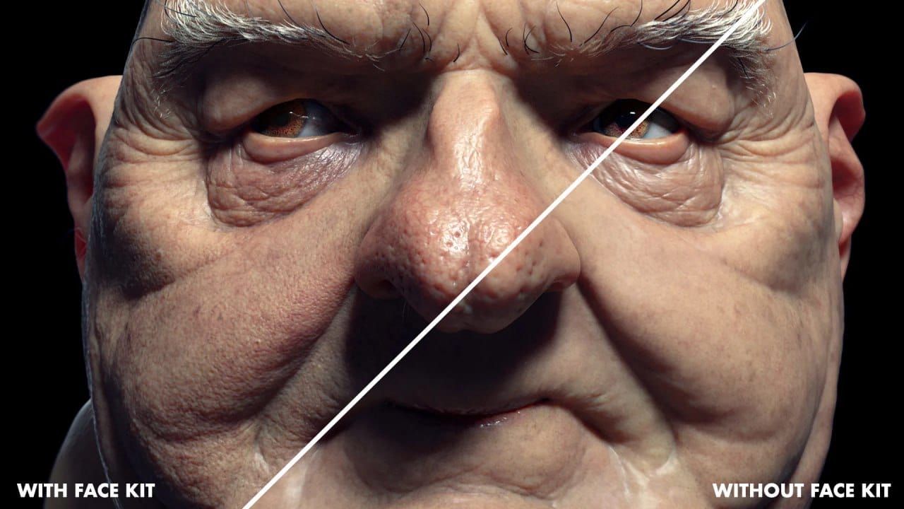 FlippedNormals 面部套件 – FlippedNormals Face Kit