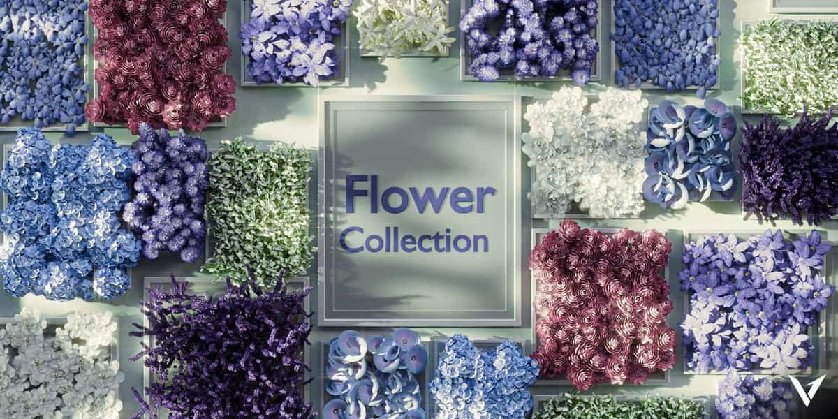 花卉合集 – Flowers Collection