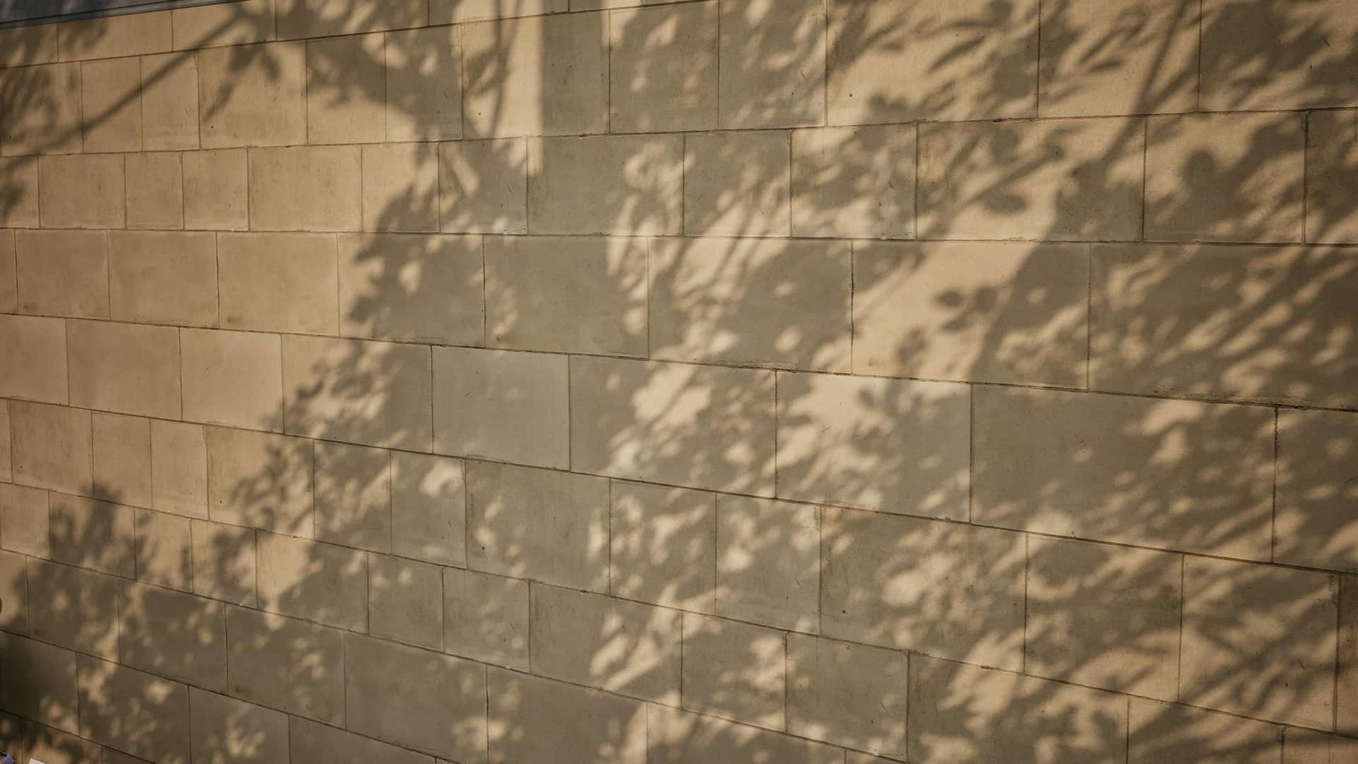 瓷砖 01 – 扫描摄影测量材质 – Tiles 01 – Scanned Photogrammetry Materials