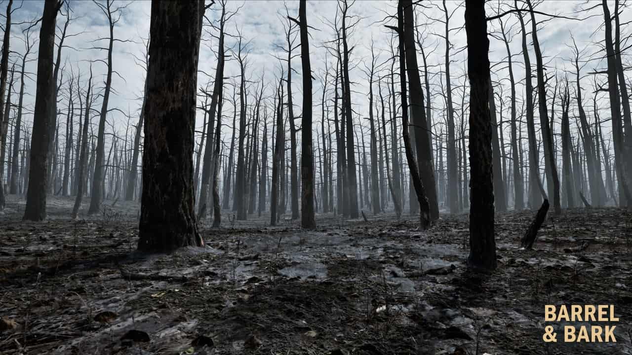 烧毁森林余波环境 – Burnt Forest Aftermath Environment