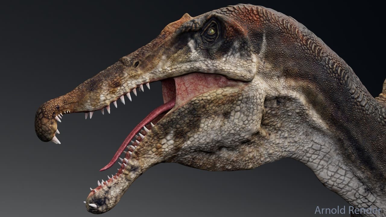 棘龙恐龙模型 – Dinosaur Spinosaurus